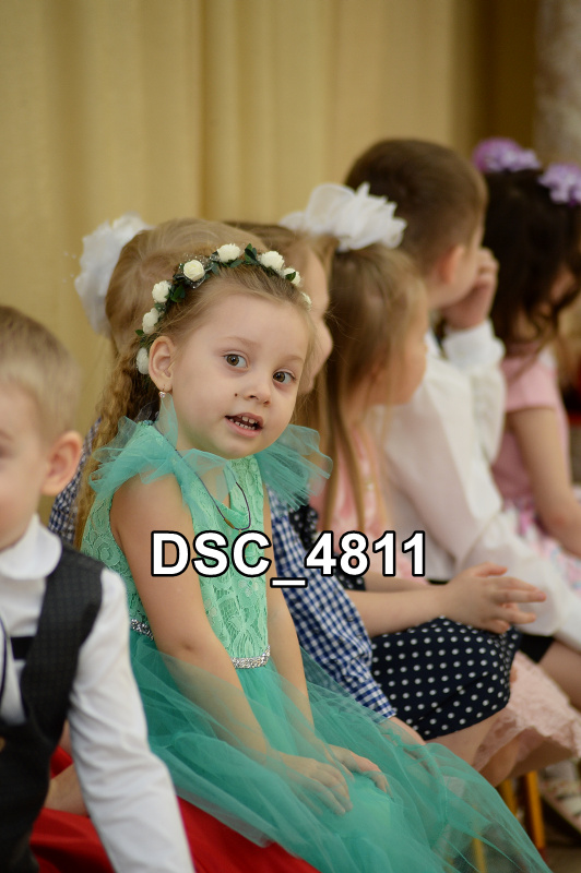 DSC4811